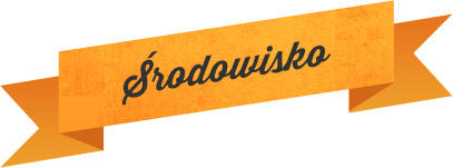 Środowisko